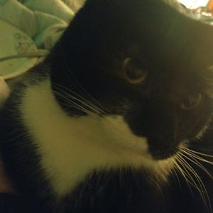 Meet your Posher, Rebekah